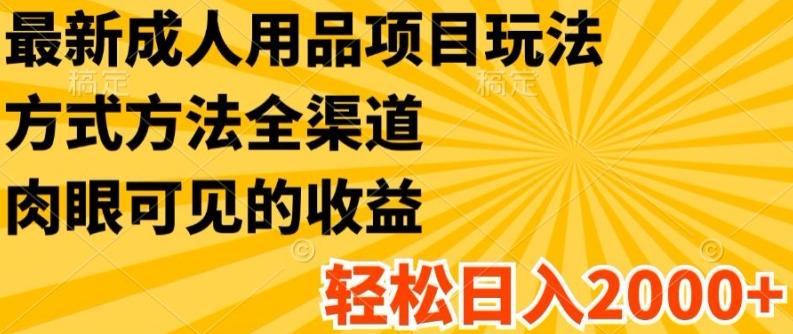 最新成人用品项目玩法，方式方法全渠道，轻松日入2K+【揭秘】-网赚项目平台
