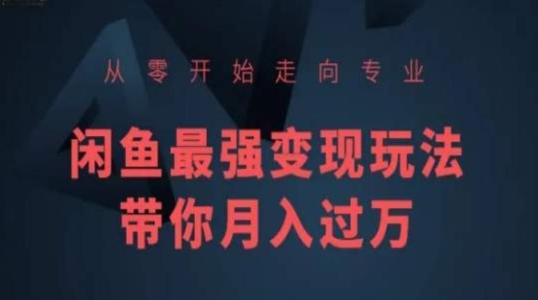 从零开始走向专业，闲鱼最强变现玩法带你月入过万-网赚项目平台