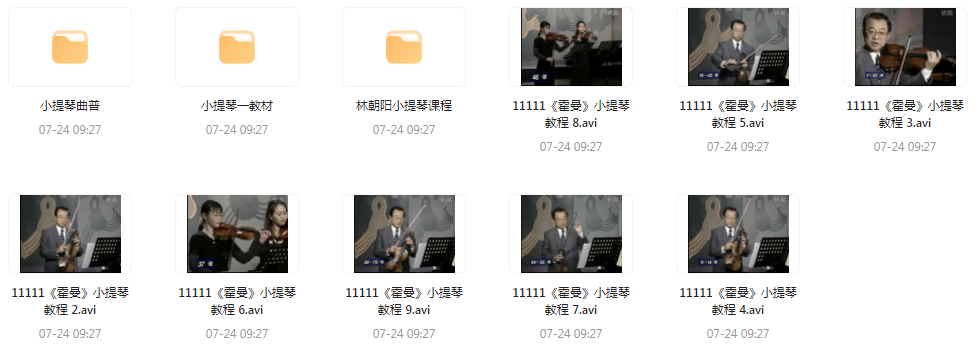 霍曼小提琴教学视频-网赚项目平台