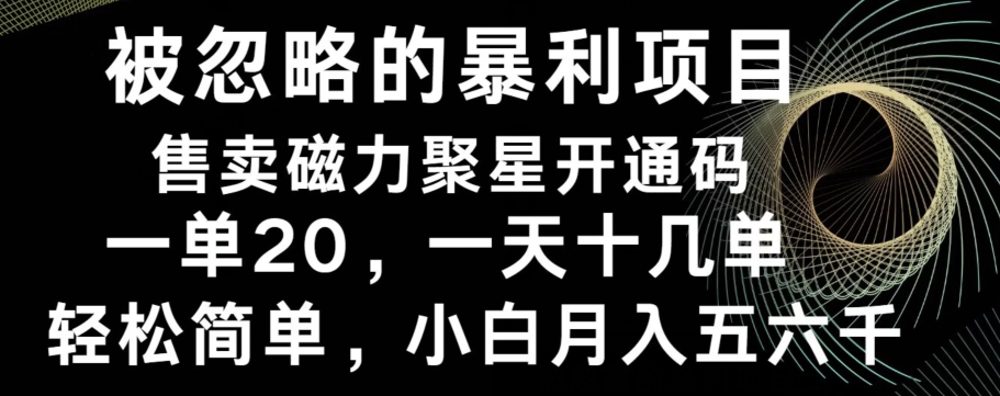 被忽略的暴利项目！售卖磁力聚星开通码，一单20，一天十几单，轻松月入五六千-网赚项目平台