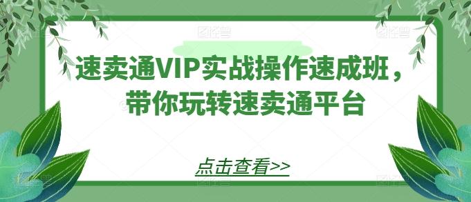 速卖通VIP实战操作速成班，带你玩转速卖通平台-网赚项目平台