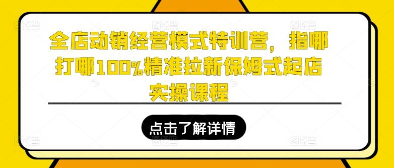 全店动销经营模式特训营，指哪打哪100%精准拉新保姆式起店实操课程-网赚项目平台