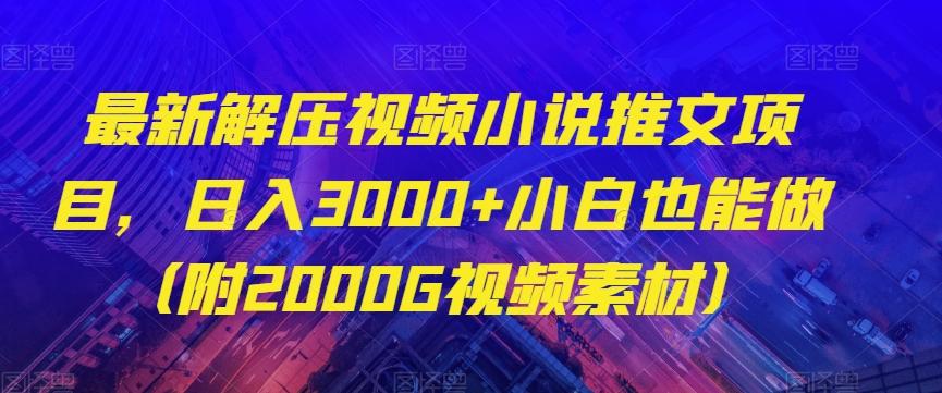 最新解压视频小说推文项目，日入3000+小白也能做（附2000G视频素材）【揭秘】-网赚项目平台
