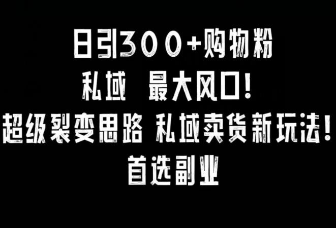 日引300+购物粉，超级裂变思路，私域卖货新玩法，小红书首选副业【揭秘】-网赚项目平台