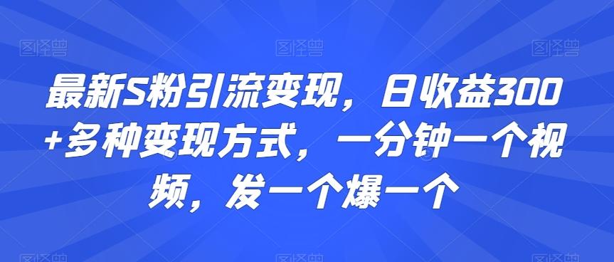 最新S粉引流变现，日收益300+多种变现方式，一分钟一个视频，发一个爆一个【揭秘】-网赚项目平台