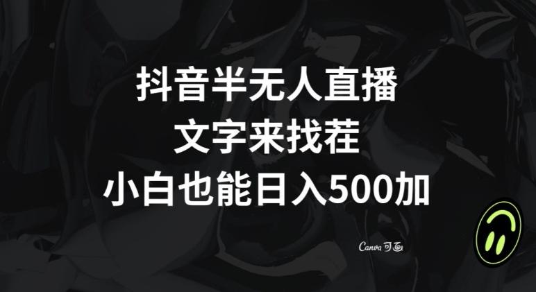 抖音半无人直播，文字来找茬小游戏，每天收益500+【揭秘】-网赚项目平台