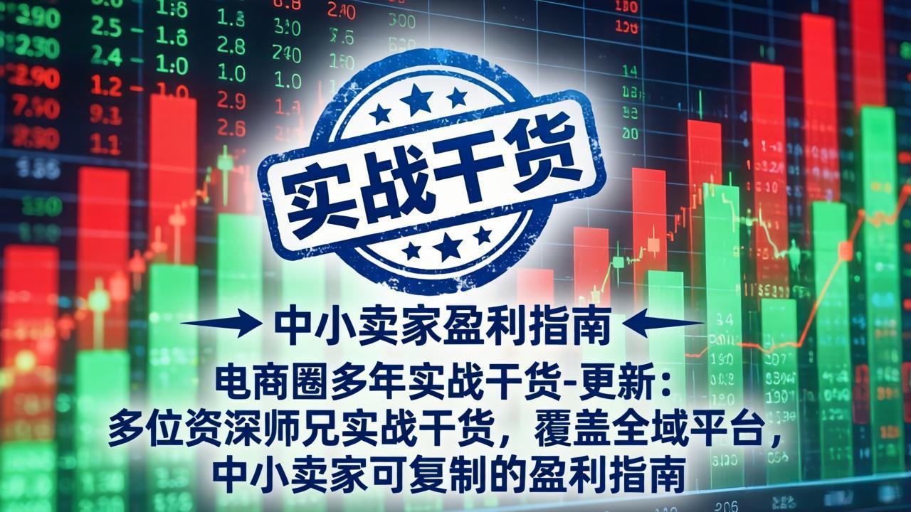 电商圈多年实战干货-更新5月10：多位资深师兄实战干货/覆盖全域平台，中小卖家可复制的盈利指南-网赚项目平台
