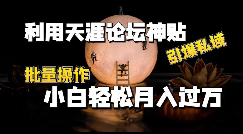 利用天涯论坛神贴，引爆私域，批量操作，小白轻松月入过w【揭秘】-网赚项目平台