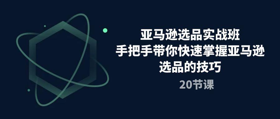 亚马逊选品实战班，手把手带你快速掌握亚马逊选品的技巧(20节课-网赚项目平台