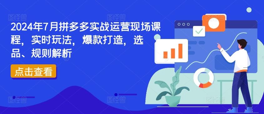 2024年7月拼多多实战运营现场课程，实时玩法，爆款打造，选品、规则解析-网赚项目平台