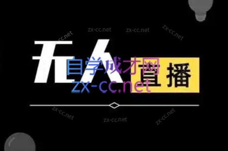 宝子哥·无人直播-非实时防风技术(更新6月)-网赚项目平台