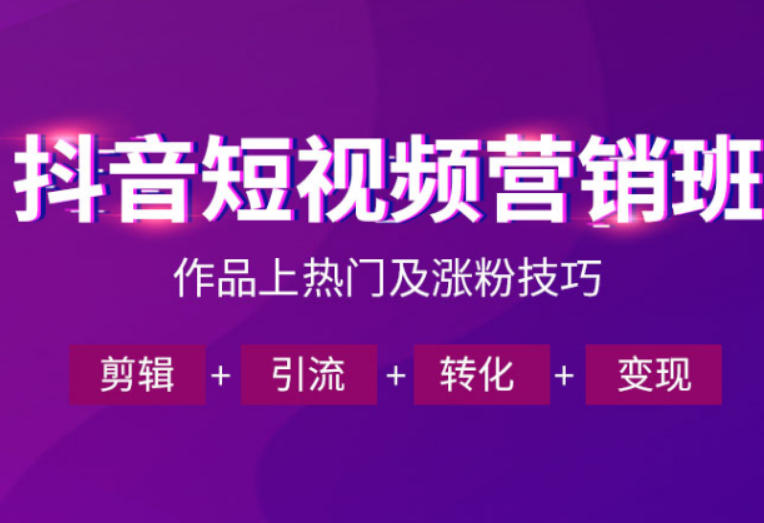 抖音短视频运营班，一门课学会作品上热门及涨粉技巧，引流转化剪辑变现(2026年5月)-网赚项目平台