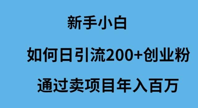 (9668期)新手小白如何日引流200+创业粉通过卖项目年入百万-网赚项目平台