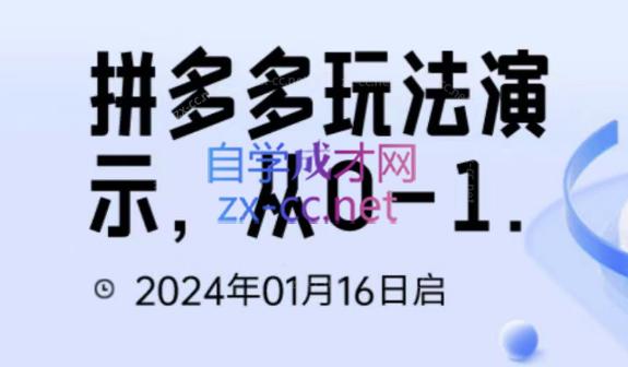 吴老师·拼多多从选品到截流到付费的玩法技巧-网赚项目平台