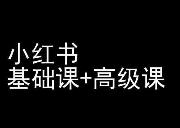 小红书基础课+高级课-小红书运营教程-网赚项目平台