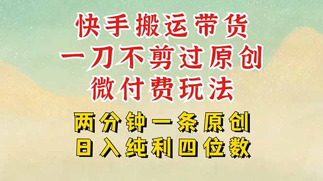 快手黑科技搬运带货，一刀不剪过原创，微付费投流玩法，轻松日入四位数…-网赚项目平台