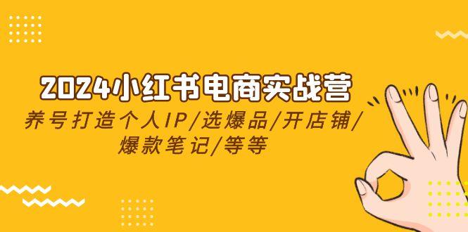 2024小红书电商实战营，养号打造IP/选爆品/开店铺/爆款笔记/等等(24节)-网赚项目平台