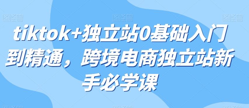 tiktok+独立站0基础入门到精通，跨境电商独立站新手必学课-网赚项目平台