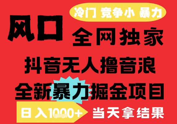 25年6月高爆抖音无人直播最新撸音浪掘金项目，解放双手小白可做，无脑日入1k+，门槛低【揭秘】-网赚项目平台