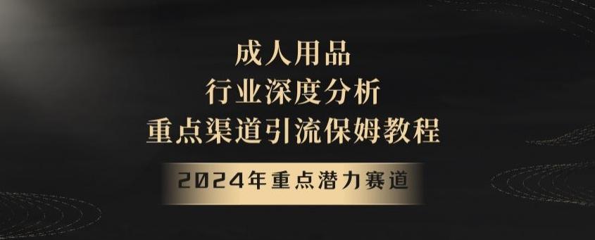 2024年重点潜力赛道，成人用品行业深度分析，重点渠道引流保姆教程【揭秘】-网赚项目平台