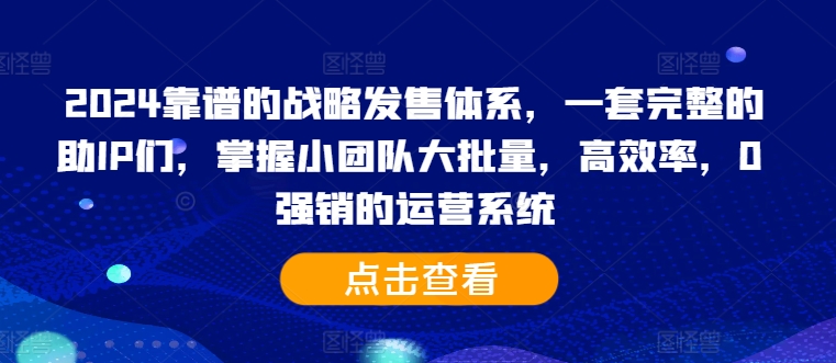 2024靠谱的战略发售体系，一套完整的助IP们，掌握小团队大批量，高效率，0 强销的运营系统-网赚项目平台