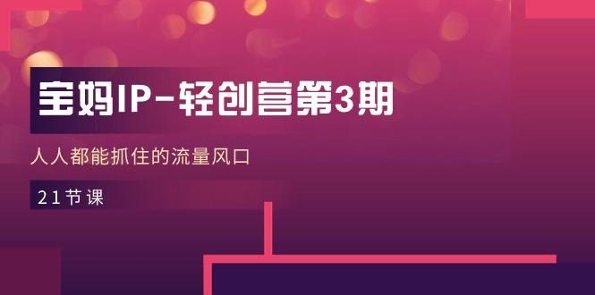 宝妈IP-轻创营第3期，人人都能抓住的流量风口(21节课-网赚项目平台