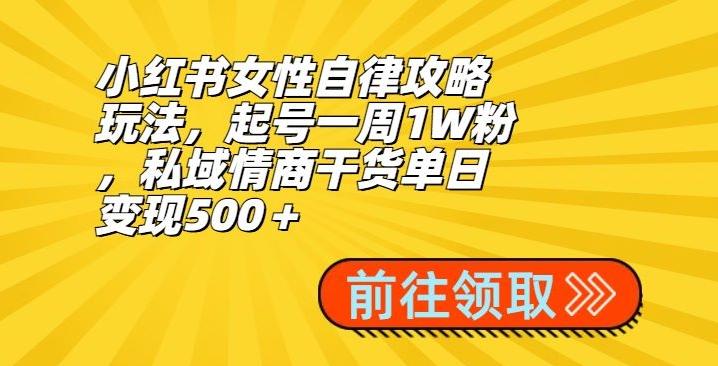 小红书女性自律攻略玩法，起号一周1W粉，私域情商干货单日变现500＋-网赚项目平台