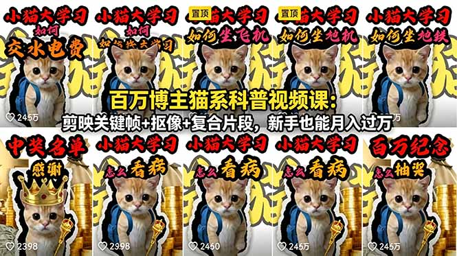 百万博主猫系科普视频课：剪映关键帧+抠像+复合片段，新手也能月入过万-网赚项目平台