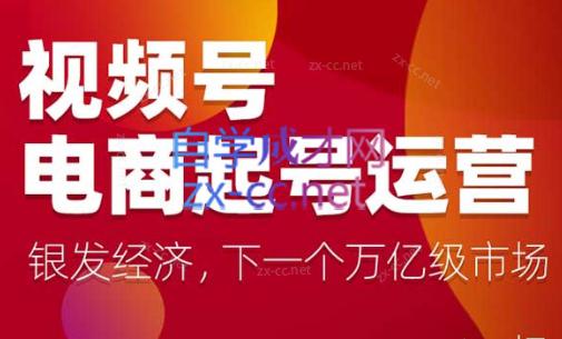 陈大黑牛·视频号电商起号运营课(更新到24年5月)-网赚项目平台