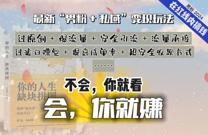 2024，“男粉+私域”还是最耐造、最赚、最轻松、最愉快的变现方式【揭秘】-网赚项目平台