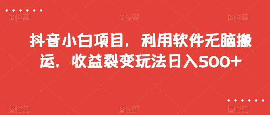 抖音小白项目，利用软件无脑搬运，收益裂变玩法日入500+【揭秘】-网赚项目平台