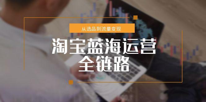 淘宝蓝海运营全链路，从选品到流量变现，小类目突围完整方案-网赚项目平台
