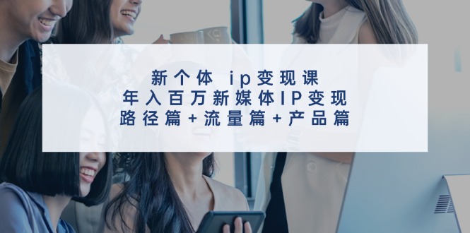 新个体ip变现课，年入百万新媒体IP变现，路径篇+流量篇+产品篇-网赚项目平台