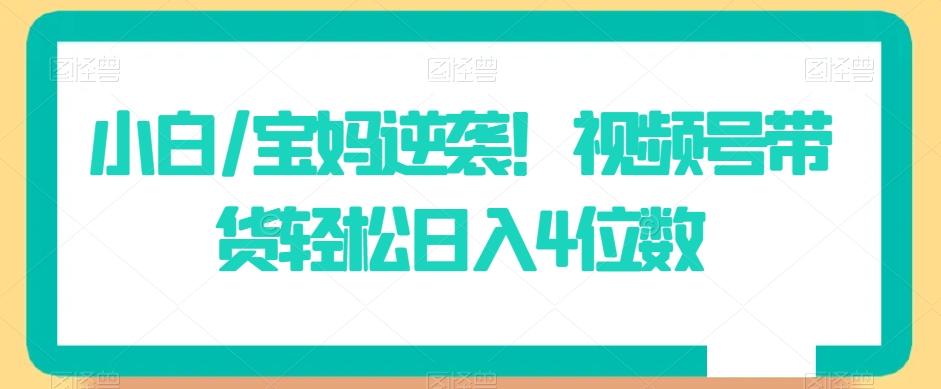小白/宝妈逆袭！视频号带货轻松日入4位数【揭秘】-网赚项目平台