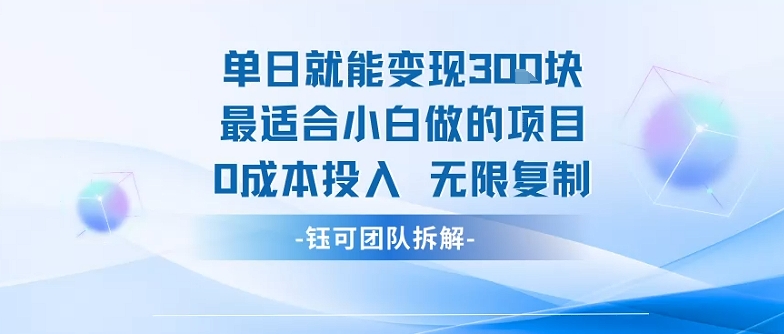 单日就能变现3张最适合小白做的项目0成本投入 无限复制-网赚项目平台