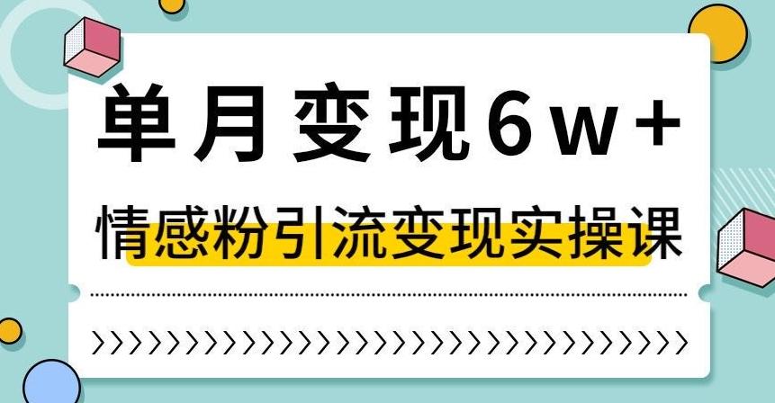 单月变现6W+，抖音情感粉引流变现实操课，小白可做，轻松上手，独家赛道【揭秘】-网赚项目平台