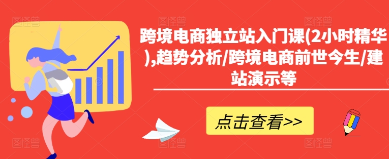 跨境电商独立站入门课(2小时精华),趋势分析/跨境电商前世今生/建站演示等-网赚项目平台