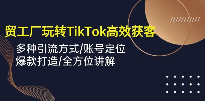外贸工厂玩转TikTok高效获客，多种引流方式/账号定位/爆款打造/全方位讲解-网赚项目平台
