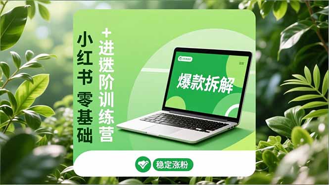 小红书零基础+高阶训练营：安全养号、爆款拆解、长效运营，实现稳定涨粉与变现-网赚项目平台