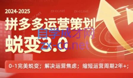 大力老师·2024拼多多运营策略蜕变3.0-网赚项目平台