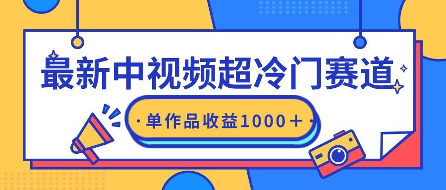 (9275期)最新中视频超冷门赛道，轻松过原创，单条视频收益1000＋-网赚项目平台
