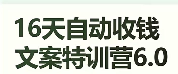 16天自动收钱文案特训营6.0，学会儿每天自动咔咔收钱-网赚项目平台