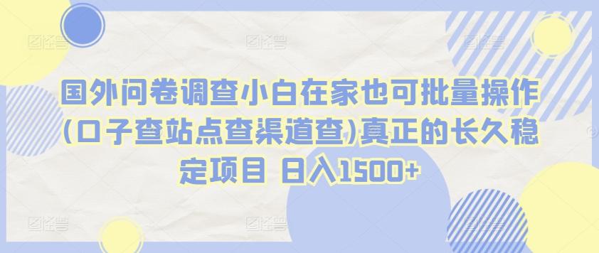 国外问卷调查小白在家也可批量操作(口子查站点查渠道查)真正的长久稳定项目 日入1500+【揭秘】-网赚项目平台