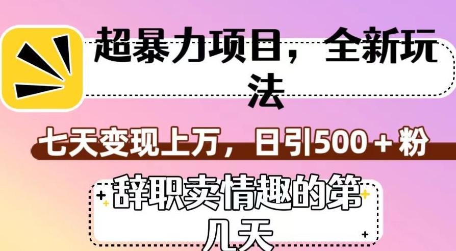 超暴利项目，全新玩法（辞职卖情趣的第几天），七天变现上万，日引500+粉【揭秘】-网赚项目平台