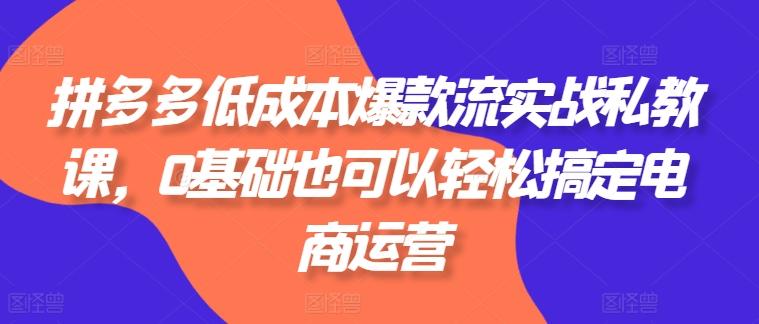 拼多多低成本爆款流实战私教课，0基础也可以轻松搞定电商运营-网赚项目平台