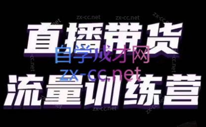 婉婉·直播带货课程系列合集(更新8月)-网赚项目平台