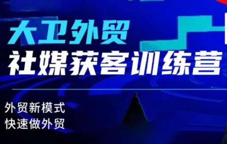 大卫老师·外贸社媒获客独家训练营(更新4月)-网赚项目平台