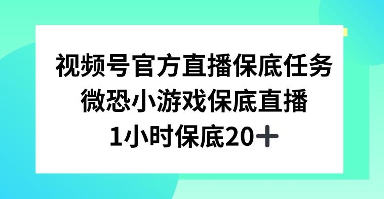 视频号直播任务，微恐小游戏，1小时20+【揭秘】-网赚项目平台
