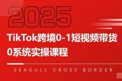 TikTok跨境0-1短视频带货，系统拆解TikTok跨境带货全链路，实现跨境可持续盈利-网赚项目平台