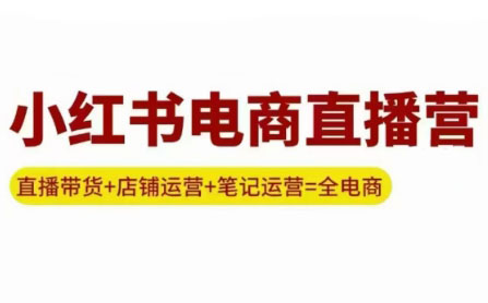 申铭老师·小红书电商直播营(更新)-网赚项目平台